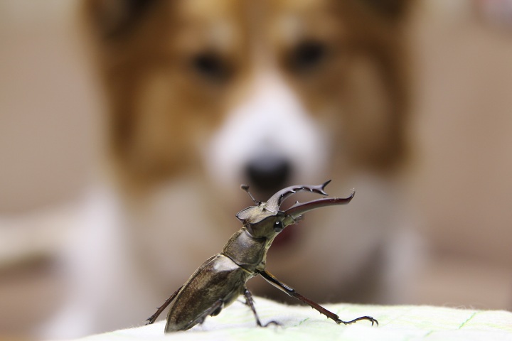 ファイル 313-2.jpg