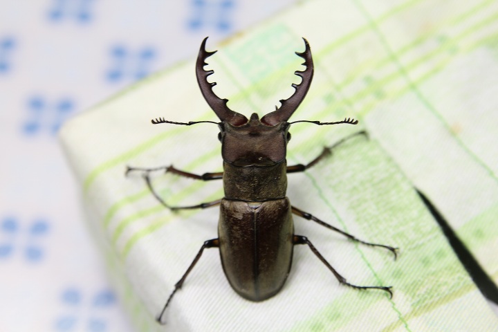 ファイル 313-3.jpg