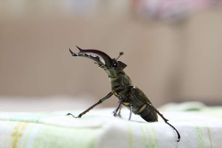 ファイル 313-4.jpg