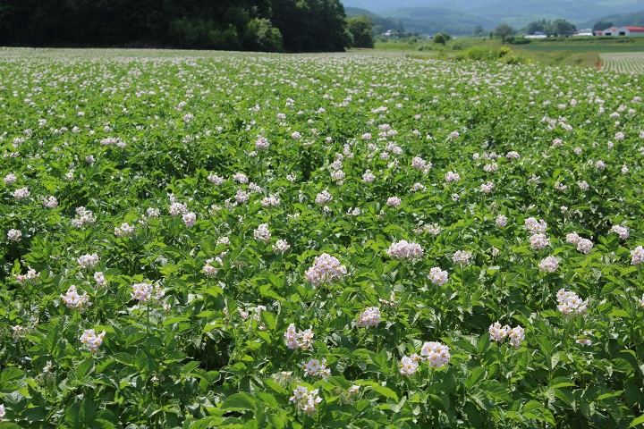 ファイル 314-1.jpg