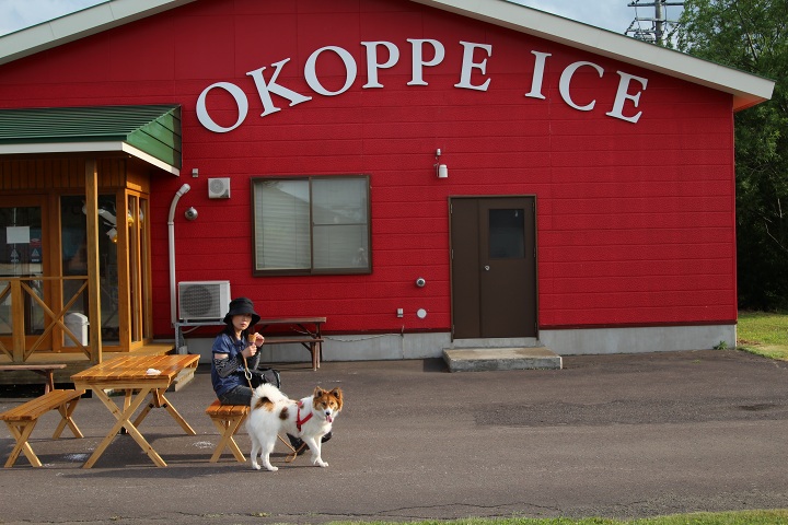 ファイル 314-3.jpg