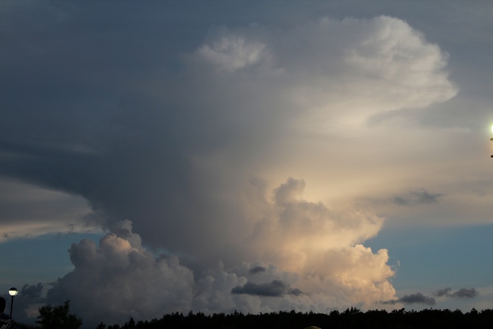 ファイル 314-4.jpg