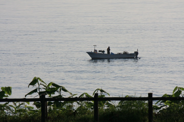 ファイル 316-2.jpg