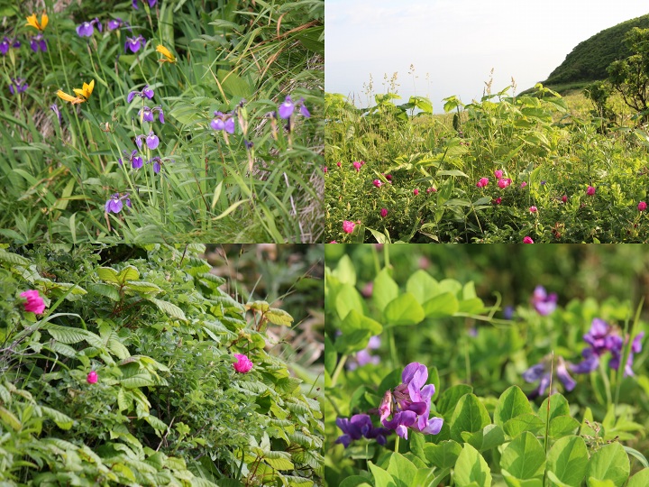 ファイル 316-3.jpg