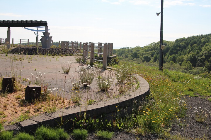 ファイル 318-2.jpg