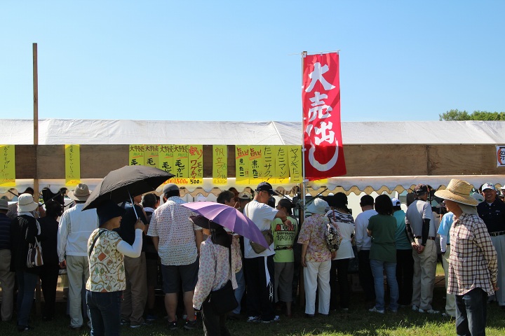 ファイル 318-4.jpg