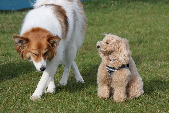 ファイル 322-5.jpg