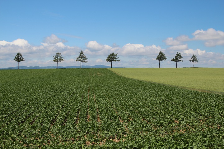 ファイル 323-2.jpg