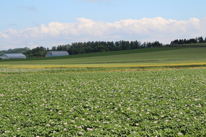 ファイル 323-3.jpg