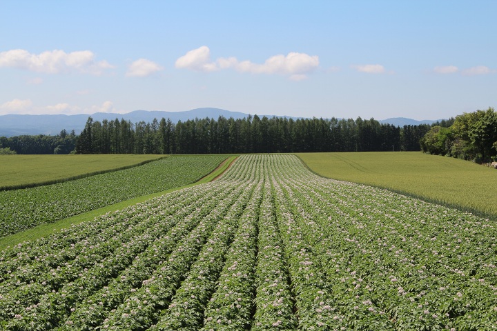 ファイル 323-4.jpg