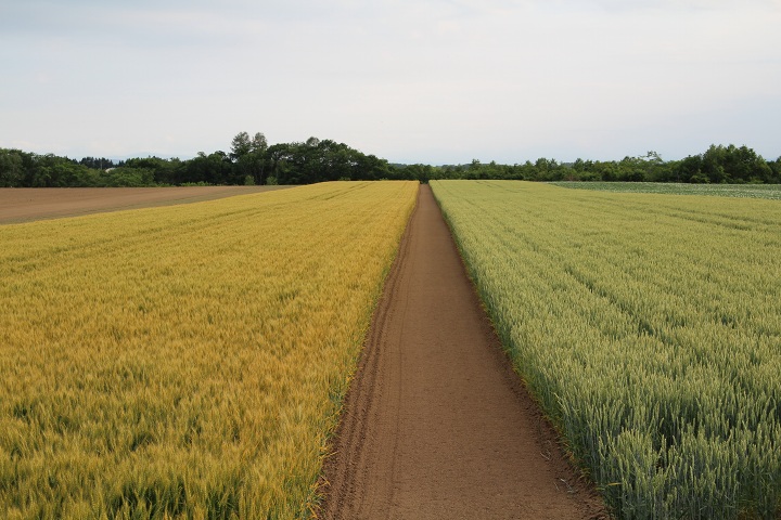 ファイル 324-5.jpg