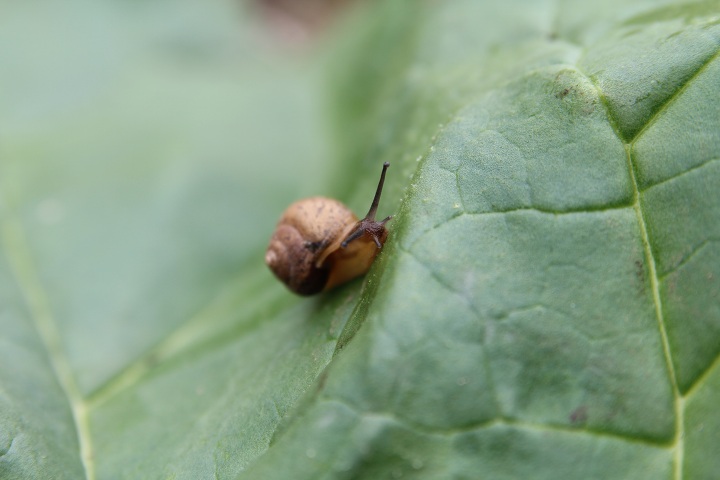 ファイル 327-2.jpg