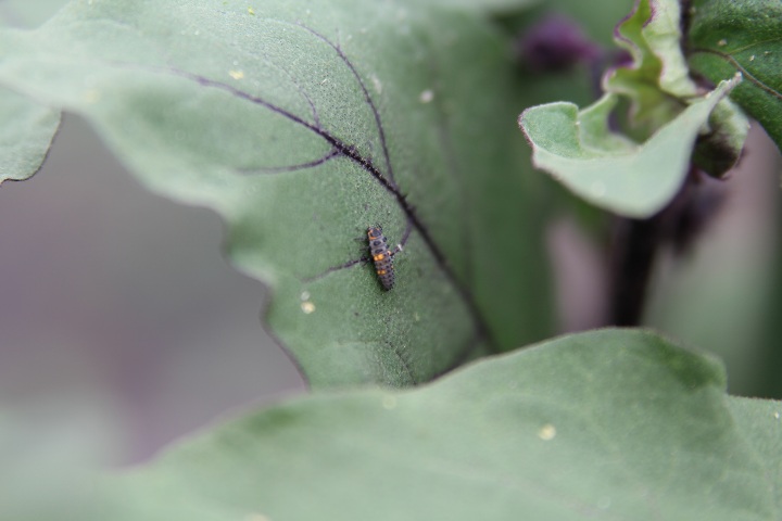 ファイル 327-3.jpg