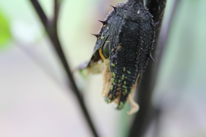 ファイル 327-4.jpg