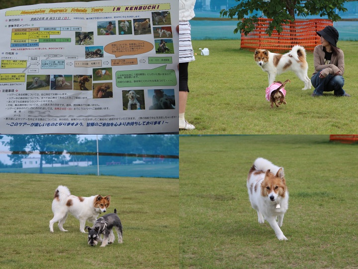 ファイル 328-3.jpg