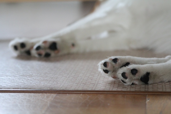 ファイル 328-4.jpg