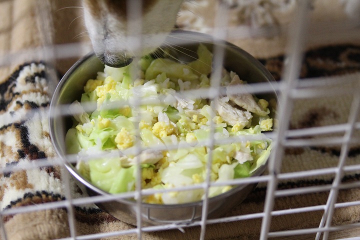 ファイル 328-5.jpg