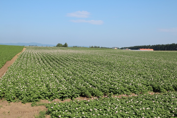 ファイル 329-2.jpg