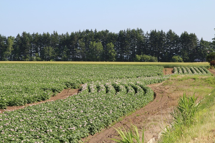 ファイル 329-3.jpg