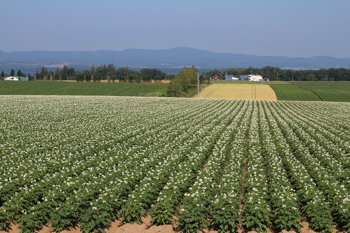 ファイル 329-4.jpg