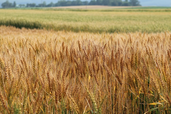 ファイル 330-2.jpg