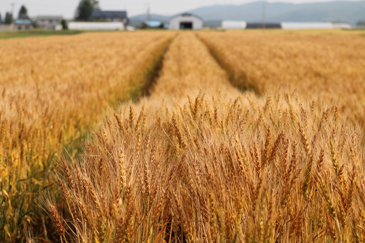 ファイル 330-3.jpg