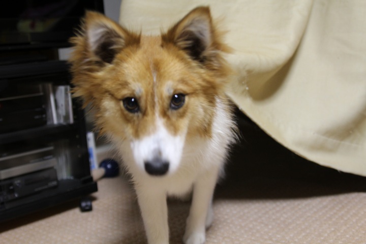 ファイル 330-4.jpg