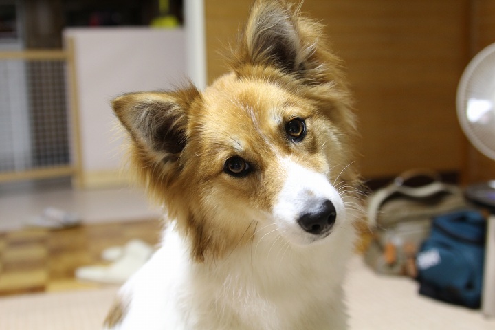 ファイル 330-5.jpg