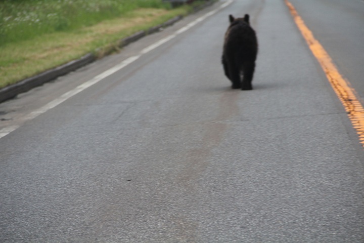 ファイル 331-2.jpg