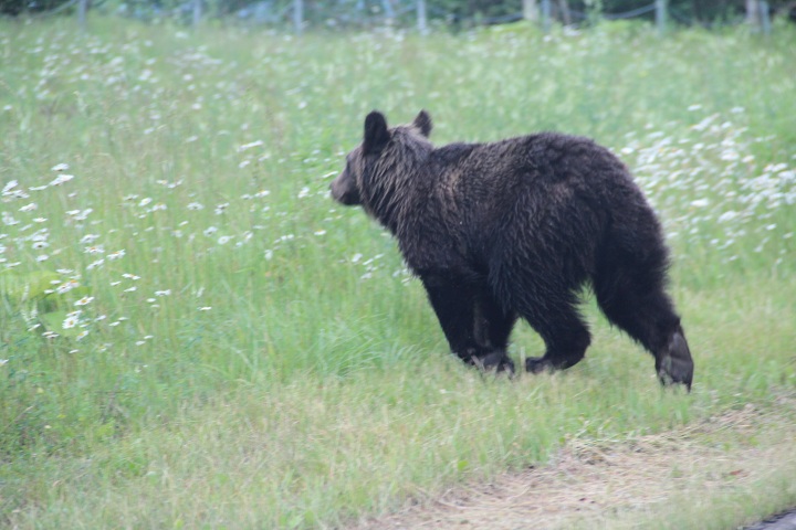 ファイル 331-3.jpg