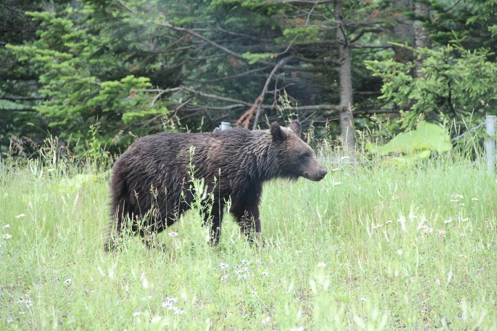 ファイル 331-4.jpg