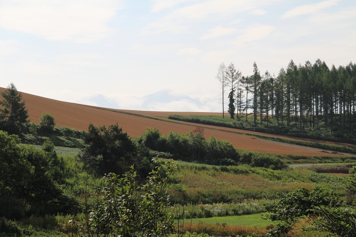 ファイル 331-5.jpg