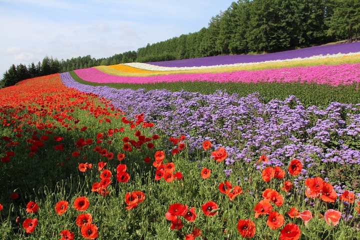 ファイル 332-1.jpg