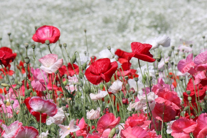 ファイル 332-3.jpg