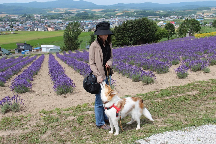 ファイル 334-2.jpg