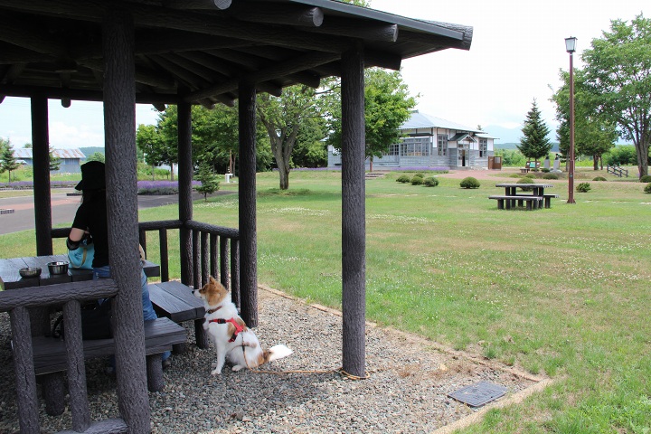 ファイル 335-1.jpg