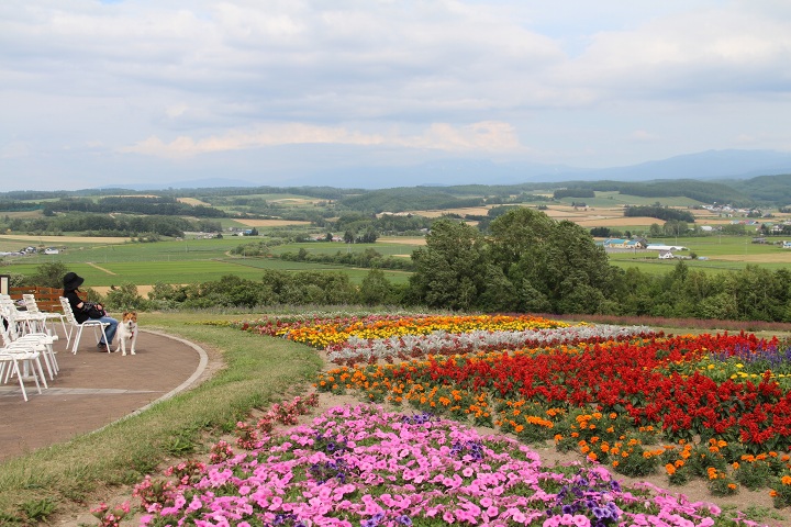 ファイル 336-2.jpg