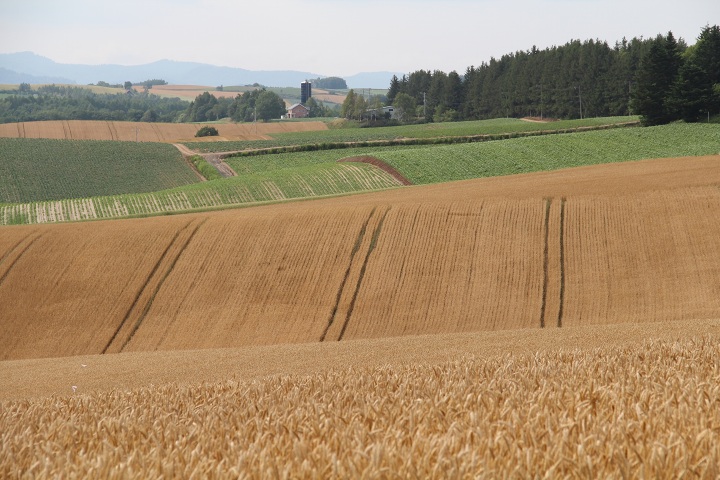 ファイル 337-1.jpg