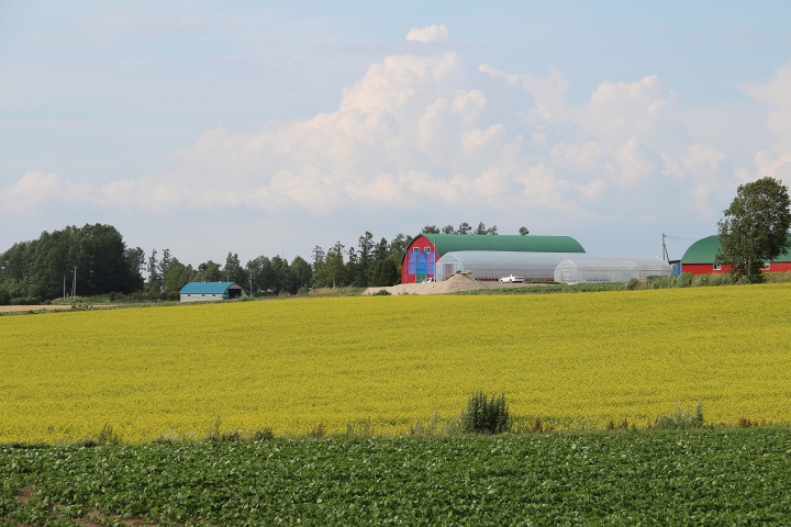 ファイル 337-3.jpg