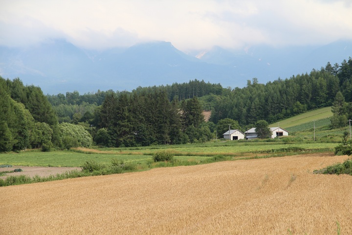 ファイル 337-5.jpg