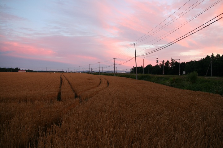 ファイル 338-1.jpg