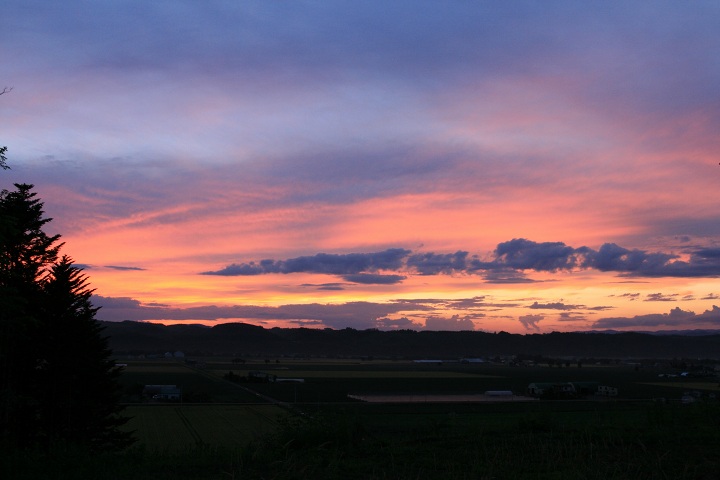 ファイル 338-2.jpg