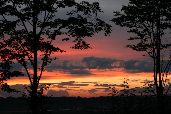 ファイル 338-3.jpg