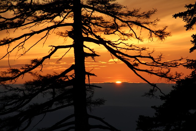 ファイル 339-3.jpg