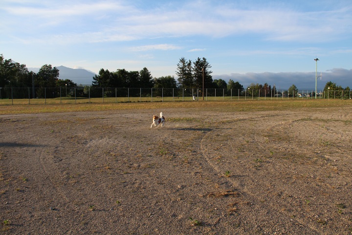 ファイル 340-2.jpg