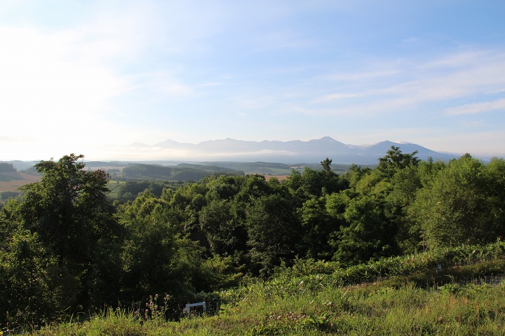 ファイル 340-3.jpg