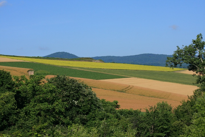 ファイル 340-5.jpg