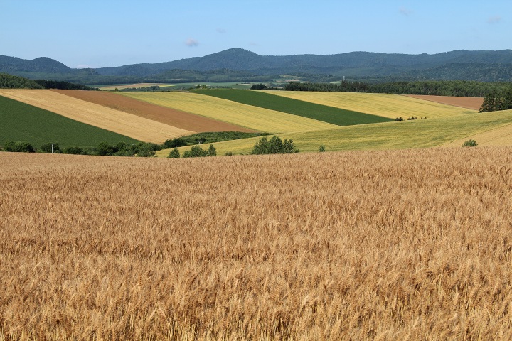 ファイル 341-2.jpg