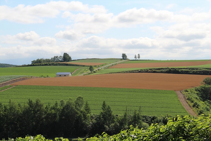 ファイル 341-3.jpg