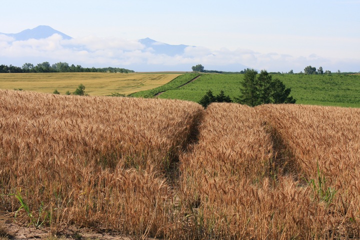 ファイル 341-4.jpg